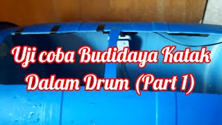 Budidaya Katak dalam Drum [upl. by Isoais]