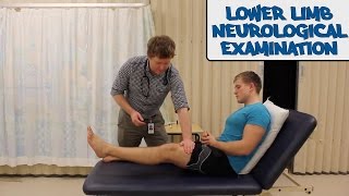 Lower Limb Neurological Examination  OSCE Guide old version  UKMLA  CPSA [upl. by Doownel769]