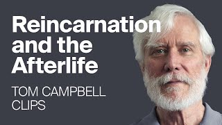 How Does Reincarnation and the Afterlife Really Work [upl. by Koziel]