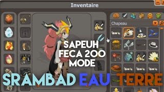 Présentation Feca 200 MODE EAUTERRE SRAMBAD DOFUS [upl. by Jansen509]