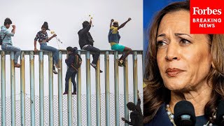 Failed The American People GOP Lawmaker Slams Kamala Harris For Weak And Feckless Border Policy [upl. by Castorina63]