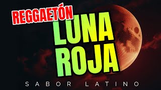 LUNA ROJA  SABOR LATINO  Un Canal de Música Latina [upl. by Iruj604]