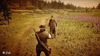 RDR2  This Is Why I LOVE Dual Wielding The Sawn off shotgun [upl. by Nanam]