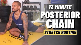 Stretches For The Posterior Chain Follow Along Routine [upl. by Helfant]