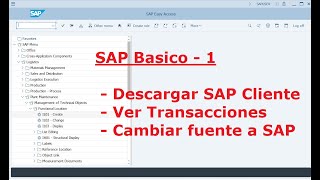 SAP Básico 1 [upl. by Placida]