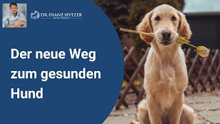 Der neue Weg zum gesunden Hund  Tierarzt Dr Franz Spitzer [upl. by Elurd]