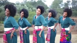 Best Ethiopian Traditional Music 2014 Solomon Demle  Mech Ayeshiwuna [upl. by Aihsenot]