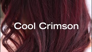 Cool Crimson  How To Create a Deep Red Color Melt without Lightener [upl. by Hardi519]