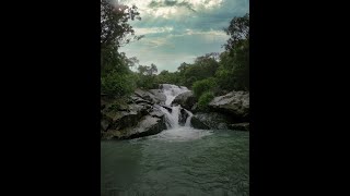 Chinchoti waterfall  Beautiful waterfall near Mumbai short shorts youtubeshorts [upl. by Akemeuwkuhc]