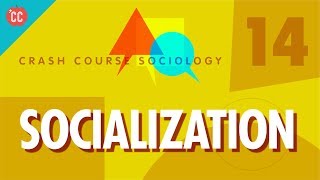 Socialization Crash Course Sociology 14 [upl. by Ryan371]