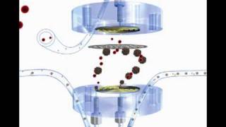 Ultrafiltrationflv [upl. by Qifahs]