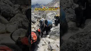 Everest Base camp Trek in solukhumbudailyvlog beautifulnepal duet everest base camp trekking [upl. by Ainomar]