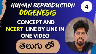 HUMAN REPRODUCTION4 IN TELUGU  OOGENESIS  NCERT LINE BY LINE HSR BIOINFO [upl. by Eisenstark]