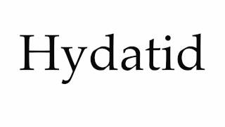 How to Pronounce Hydatid [upl. by Feirahs]