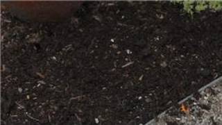 Flower Gardening  How to Prepare Soil for a Wildflower Garden [upl. by Nwahsek832]