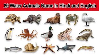 10 Water Animals Name in english and hindiWater animals nameजलीय जीवों के नाम [upl. by Hanschen]