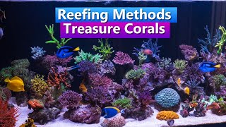 Reefing Methods  With Treasure Corals [upl. by Ijan49]