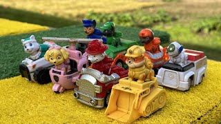 Looking PAW Patrol  PAW Patrol Toys  Heroes Rubble Chase Zuma Skye Marshall  Video for kids [upl. by Hickey171]