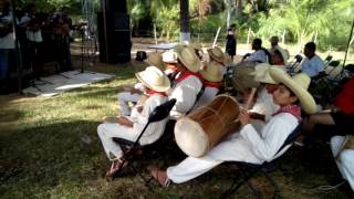 Tamborileros de Olcuatitan La Ventanilla Oaxaca [upl. by Ynafetse]