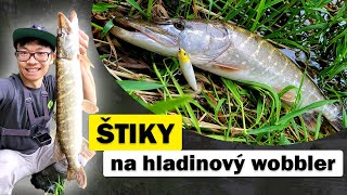 Štiky na hladinový wobbler [upl. by Tedder]