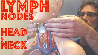 Clinical Examination of Head and Neck Lymph Nodes  Clinical Skills  Dr Gill [upl. by Vento]