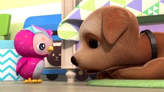 Kongsuni Has a Cute  Puppy Time  Kongsuni and Friends  Kids Cartoon [upl. by Riba]