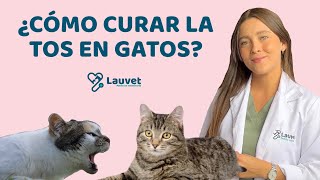 MI GATO TIENE TOS  Causas y Tratamiento  Lauvet [upl. by Eenert]