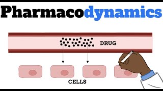 Pharmacodynamics MADE EASY FOR BEGINNERS [upl. by Anitel61]