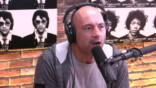 Joe Rogan Talks About Colin Moriarty [upl. by Eirelam42]