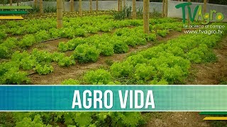 Usos de Productos Agroquimicos para el Cuidado de su Cultivo TvAgro por Juan Gonzalo Angel [upl. by Mehalek]