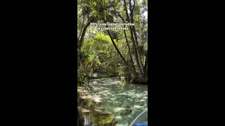 Rainbow Springs is straight from a fairytale ✨🛶 [upl. by Rexer362]