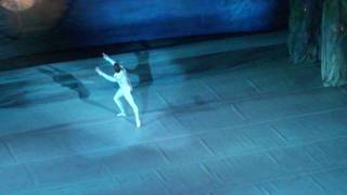 Swan Lake ballet Siegfried´s solo in Act 1 [upl. by Enomor]