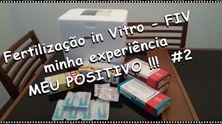 Fertilização in Vitro FIV minha experiência MEU POSITIVO  2 [upl. by Noseimaj]