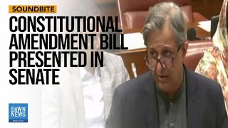 Govt Will Not Amend Article 63A According to Constitutional Package Draft in Senate  Dawn News [upl. by Haya]