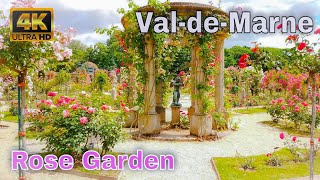 🇫🇷Roseraie du ValdeMarne  Roseraie de LHaÿ  Rose Garden 4K [upl. by Amzu]