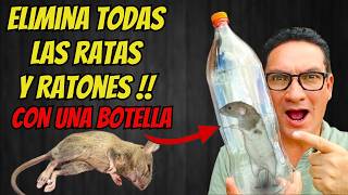 COMO ELIMINAR TODOS LOS RATONES y RATAS dentro del hogar con UNA BOTELLA  Gio de la Rosa [upl. by Llerruj]