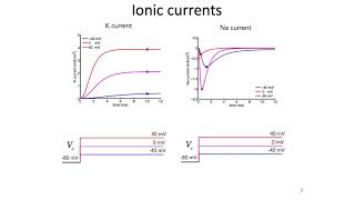 5 HodgkinHuxley Model Part 2  Intro to Neural Computation [upl. by Agee]