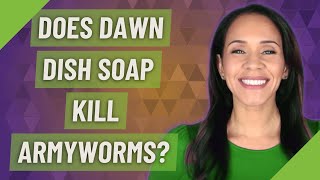 Does Dawn dish soap kill armyworms [upl. by Anitnelav]