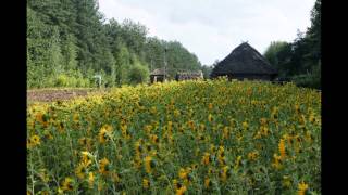 Podlaska wieś  BIAŁOSTOCKI SKANSEN WSI  HD  dobra jakość [upl. by Opportuna169]