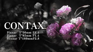 【CONTAX Carl Zeiss】Planar T50mm F14  Planar T85mm F14  Sonnar T180mm F28  sample footage [upl. by Anilatak994]