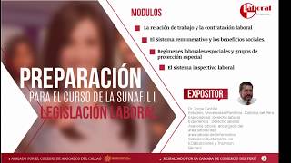 Expositor Jorge Castillo Guzman Curso Legislacion Laboral [upl. by Riem]