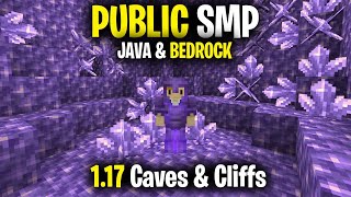 Public Minecraft SMP Server for Java amp Bedrock LIVE 1171 Free to Join [upl. by Olivette]