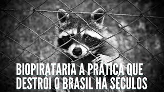 BIOPIRATARIA A PRÁTICA QUE DESTRÓI O BRASIL HÁ SÉCULOS [upl. by Relyk]