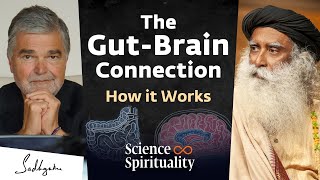 Gut Microbiome Fermented Foods amp the Power of Your Second Brain  Dr Emeran Mayer amp Sadhguru [upl. by Sadowski278]