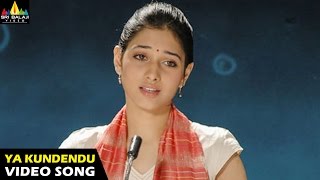 Happy Days Songs  Yakundendu Video Song  Varun Sandesh Tamannah  Sri Balaji Video [upl. by Weinshienk]