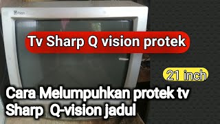 tv sharp q vision protek [upl. by Marabelle739]