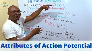 Properties of Action Potentials [upl. by Hulburt]