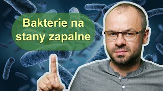 Te bakterie zwalczą stan zapalny w organizmie [upl. by Nybor]