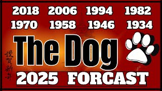 Chinese Dog Zodiac Sign Forecast for 2025  quotWhat will this year hold for youquot [upl. by Aicekat]