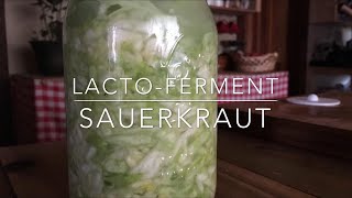 How To Make Your Own LactoFermented Sauerkraut [upl. by Dubenko]